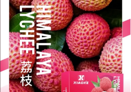 XIAOKE,XIAOKE主機,XIAOKE糖果,XIAOKE煙彈,XIAOKE官網,XIAOKE糖果官網,XIAOKE電子煙,XIAOKE霧化口味,梟客,XIAOKE口味,XIAOKE推薦,XIAOKE電子菸,XIAOKE電子菸主機,XIAOKE口味推薦,XIAOKE購買,XIAOKE菸彈,XIAOKE電子菸購買,XIAOKE菸彈推薦,電子煙,電子菸推薦,電子煙口味,電子煙推薦,XIAOKE糖果口味,梟客電子煙ptt,梟客電子煙dcard,梟客電子煙評價,XIAOKE煙彈口味推薦,梟客主機,XIAOKE主機說明書,XIAOKE新款電子煙,梟客電子煙,梟客口味,梟客推薦,梟客煙彈,梟客糖果,梟客電子菸,梟客電子菸主機,梟客口味推薦,梟客購買,梟客菸彈,XIAOKE煙桿,梟客官網