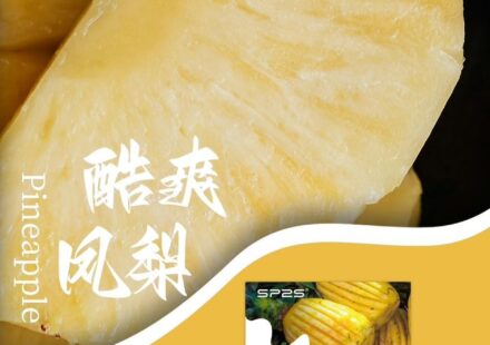 酷爽鳳梨sp2s,sp2s,SP2S主機,sp2s糖果,sp2s煙彈,sp2s官網,sp2s糖果官網,sp2s電子煙,sp2s霧化口味,sp2s煙油,思博瑞菸油,思博瑞煙油,sp2s菸油,思博瑞,sp2s口味,sp2s推薦,sp2s電子菸,sp2s電子菸主機,sp2s口味推薦,sp2s購買,sp2s菸彈,sp2s電子菸購買,sp2s菸彈推薦,電子煙,電子菸推薦,電子煙口味,電子煙推薦,sp2s糖果口味,思博瑞電子煙ptt,思博瑞電子煙dcard,思博瑞電子煙評價,sp2s煙彈口味推薦,思博瑞主機,sp2s主機說明書,sp2s拋棄式四代,sp2s新款電子煙,思博瑞電子煙,思博瑞口味,思博瑞推薦,思博瑞煙彈,思博瑞糖果,思博瑞電子菸,思博瑞電子菸主機,思博瑞口味推薦,思博瑞購買,思博瑞菸彈,思博瑞拋棄式,SP2S煙桿,思博瑞官網