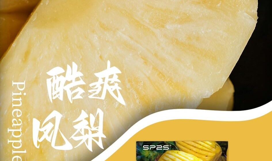 酷爽鳳梨sp2s,sp2s,SP2S主機,sp2s糖果,sp2s煙彈,sp2s官網,sp2s糖果官網,sp2s電子煙,sp2s霧化口味,sp2s煙油,思博瑞菸油,思博瑞煙油,sp2s菸油,思博瑞,sp2s口味,sp2s推薦,sp2s電子菸,sp2s電子菸主機,sp2s口味推薦,sp2s購買,sp2s菸彈,sp2s電子菸購買,sp2s菸彈推薦,電子煙,電子菸推薦,電子煙口味,電子煙推薦,sp2s糖果口味,思博瑞電子煙ptt,思博瑞電子煙dcard,思博瑞電子煙評價,sp2s煙彈口味推薦,思博瑞主機,sp2s主機說明書,sp2s拋棄式四代,sp2s新款電子煙,思博瑞電子煙,思博瑞口味,思博瑞推薦,思博瑞煙彈,思博瑞糖果,思博瑞電子菸,思博瑞電子菸主機,思博瑞口味推薦,思博瑞購買,思博瑞菸彈,思博瑞拋棄式,SP2S煙桿,思博瑞官網