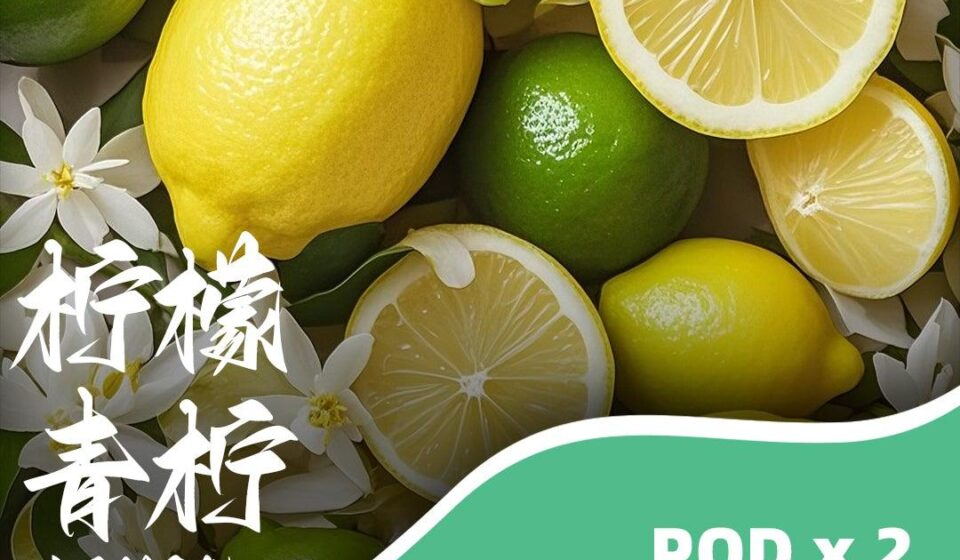 SP2S主機,sp2s煙油,思博瑞菸油,思博瑞煙油,sp2s菸油,sp2s,思博瑞,sp2s電子煙,sp2s主機,sp2s口味,sp2s推薦,sp2s煙彈,sp2s糖果,sp2s電子菸,sp2s電子菸主機,sp2s口味推薦,sp2s購買,sp2s菸彈,sp2s電子菸購買,sp2s官網,sp2s菸彈推薦,電子煙,電子菸推薦,電子煙口味,電子煙推薦,sp2s糖果口味,思博瑞電子煙ptt,思博瑞電子煙dcard,思博瑞電子煙評價,sp2s煙彈口味推薦,思博瑞主機,sp2s主機說明書,sp2s拋棄式四代,SP2S7000口拋棄式,sp2s新款電子煙,思博瑞電子煙,思博瑞口味,思博瑞推薦,思博瑞煙彈,思博瑞糖果,思博瑞電子菸,思博瑞電子菸主機,思博瑞口味推薦,思博瑞購買,思博瑞菸彈,思博瑞拋棄式,SP2S煙桿,思博瑞官網