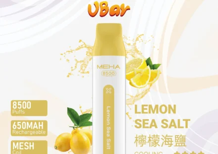 魅嗨8500口拋棄式電子煙-檸檬海鹽