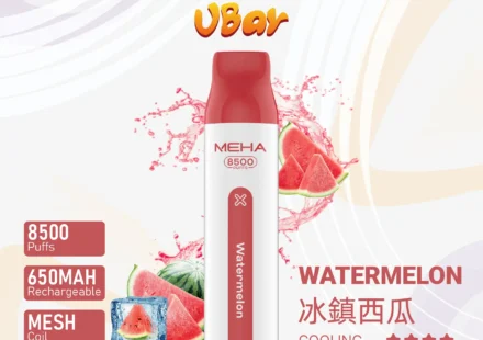 魅嗨8500口拋棄式電子煙-冰鎮西瓜