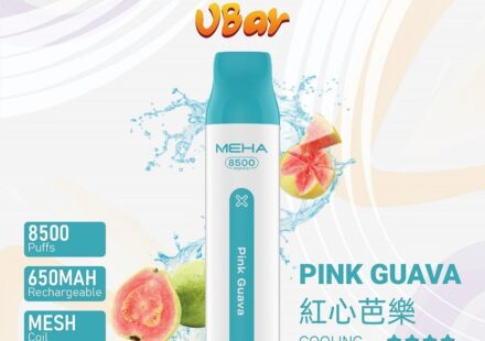 魅嗨8500口拋棄式電子煙-紅心芭樂