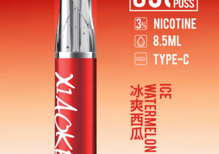 Xiaoke拋棄式冰爽西瓜口味