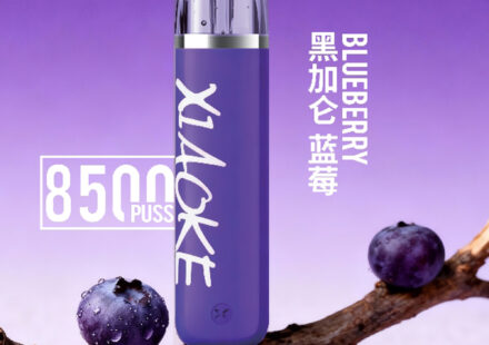Xiaoke💗拋棄式8500口藍莓黑加侖口味