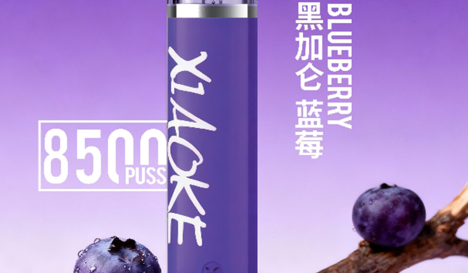 Xiaoke💗拋棄式8500口藍莓黑加侖口味