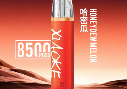 Xiaoke💗拋棄式8500口哈密瓜口味