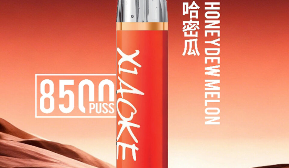 Xiaoke💗拋棄式8500口哈密瓜口味