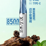 梟客-XIAOKE-8500-邁阿密薄荷-0糖感清涼測評