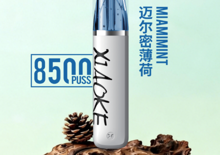 梟客-XIAOKE-8500-邁阿密薄荷-0糖感清涼測評