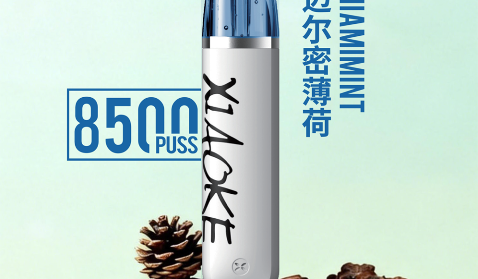 梟客-XIAOKE-8500-邁阿密薄荷-0糖感清涼測評
